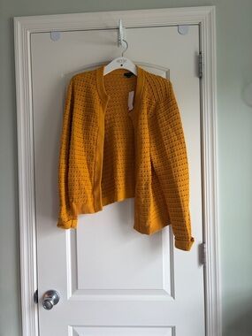 Ann Taylor Factory Mustard Open-Knit Crew Cardigan